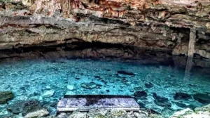 Hallan fósiles de caballos prehistóricos y peresozo gigante en cenote yucateco