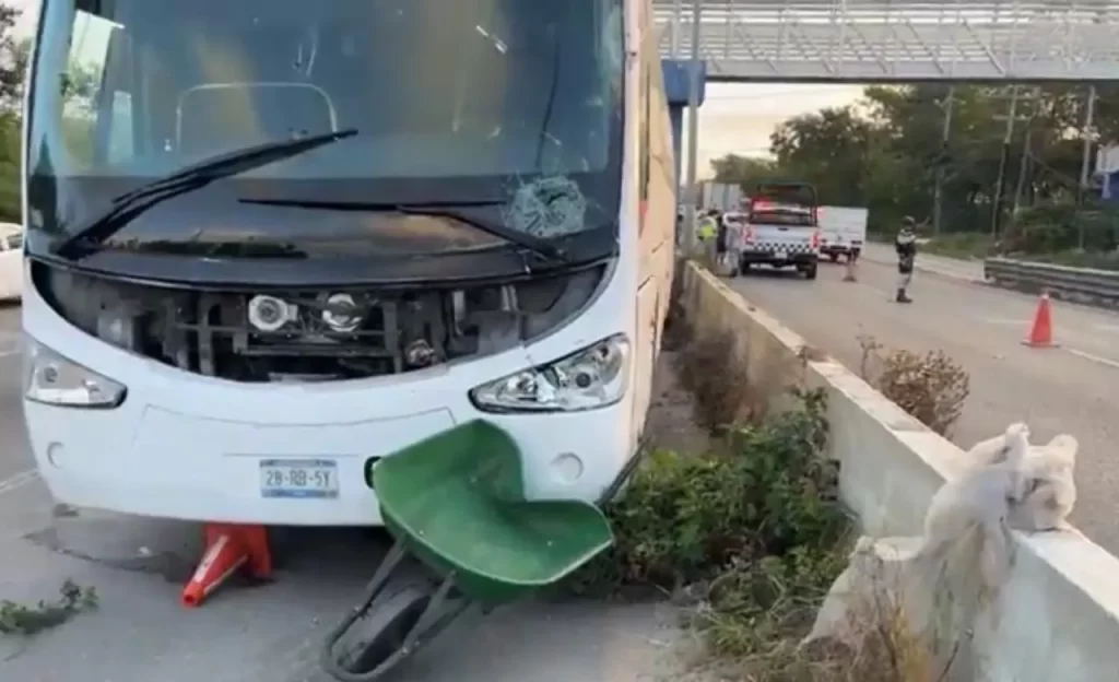 Autobús Del Valle atropella a trabajador de servicios públicos en Puerto Aventuras