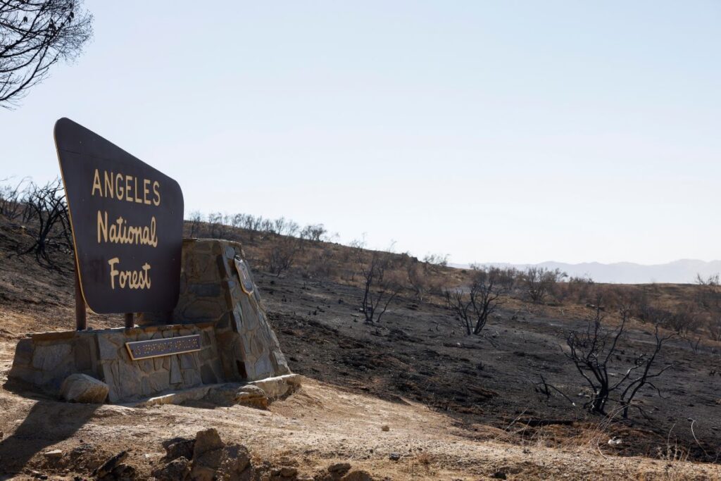 Incendios en California son controlados tras 24 dias.