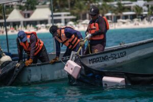 Quintana Roo listo para el arribo de sargazo a las costas