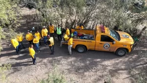 Abuelito es devorado por animales tras salir a caminar al cerro