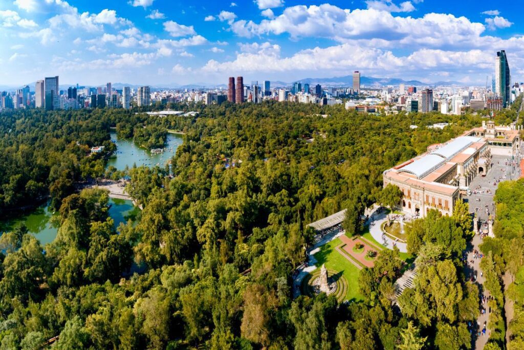 ¿Qué son los bosques urbanos y cuáles son sus beneficios?