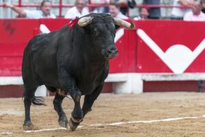 Aprueba Congreso de la CDMX corridas de toros sin violencia1