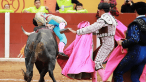 Torero mexicano Emilio Macías sufre grave cornada y es operado