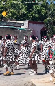 Hombres vestidos de dalmatas en el carnaval de pueblo de Yucatán se hacen virales 