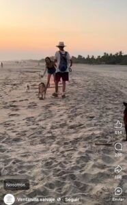 Turista golpea a un perrito callejero con una botella en playas de Oaxaca