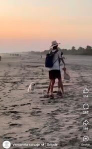 Turista golpea a un perrito callejero con una botella en playas de Oaxaca