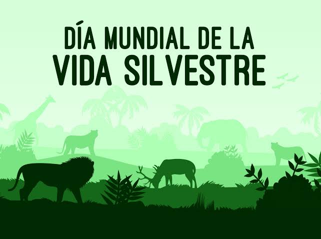 Día Mundial de la Vida Silvestre 2025: Cuatro especies en peligro de extinción en México