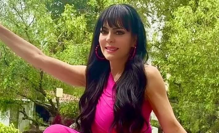 ¿Maribel Guardia pagó por la custodia de José Julián?