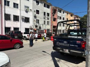 Lanzan a perrito desde edificio en Cancún; ciudadanos piden justicia