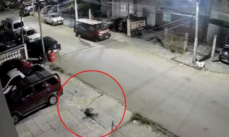 Lanzan a perrito desde edificio en Cancún; ciudadanos piden justicia