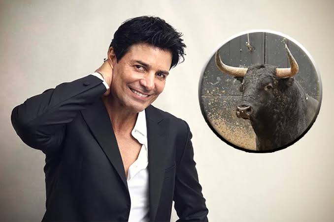 PETA pide a Chayanne cambiar su canción "Torero" por "Bombero"