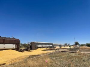 Tren descarrila 17 vagones en Zacatecas 
