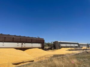 Tren descarrila 17 vagones en Zacatecas 