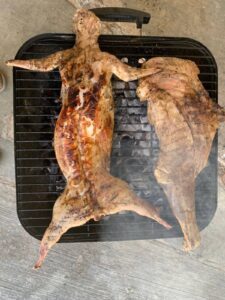 Celebrarán primer Festival del Conejo en Yucatán 
