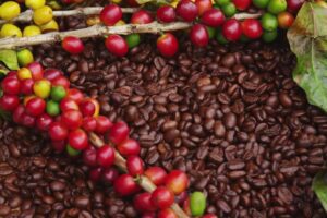 Café chiapaneco conquista el restaurante más influyente del mundo