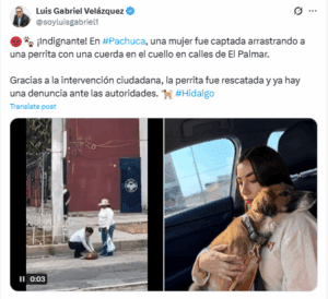 Señora arrastra a perrita inconsciente por la calle y la denuncian en Hidalgo