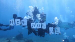 Cuarto muelle en Cozumel 5