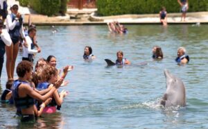 Delfinarios en Quintana Roo 2