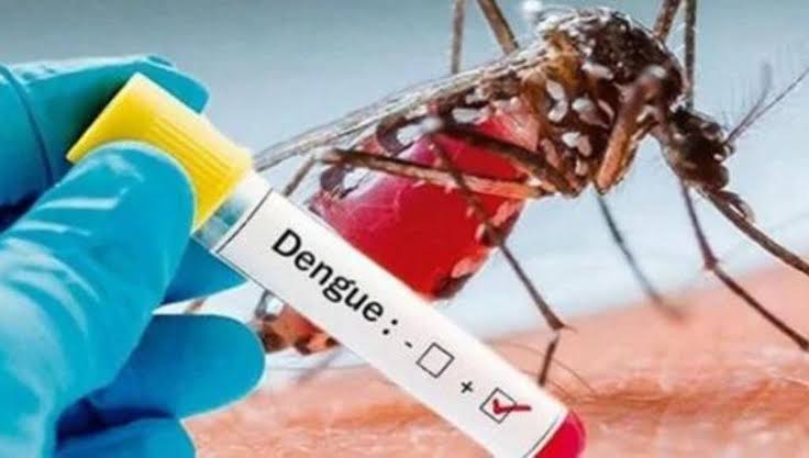 Dengue en Quintana Roo
