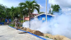 Dengue en Quintana Roo 2