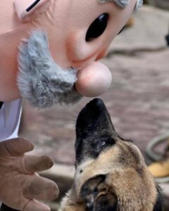 Dr. Simi se vuelve veterinario y ahora abrirá clínicas para mascotas