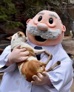 Dr. Simi se vuelve veterinario y ahora abrirá clínicas para mascotas