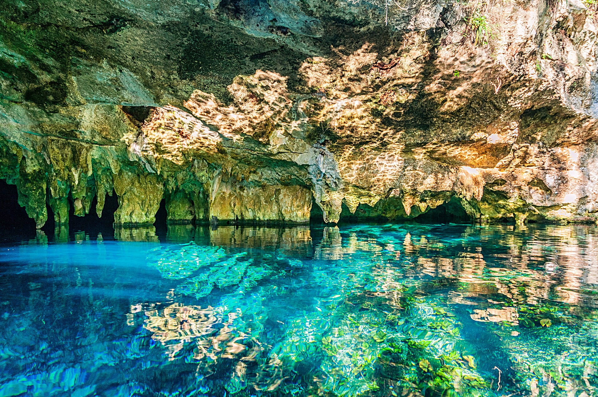 Gran Cenote Tulum