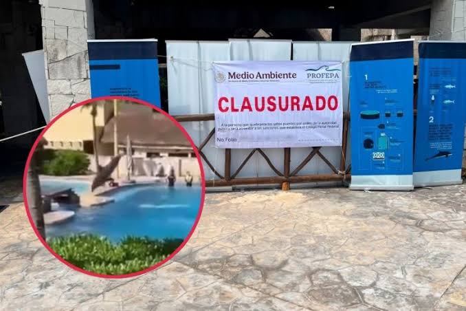 Profepa clausura definitivamente el Delfinario del Hotel Barceló