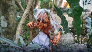 Abuelita desaparece 3 días en la selva y culpa a los aluxes 