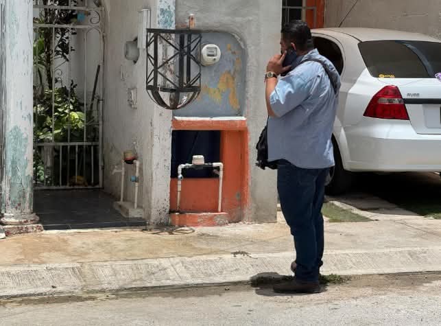 Maltrato Animal en Cancún