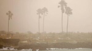 Polvo del Sahara en Mexico 4