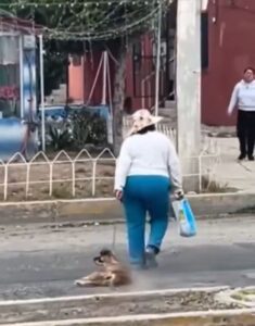 Señora arrastra a perrita inconsciente por la calle y la denuncian en Hidalgo