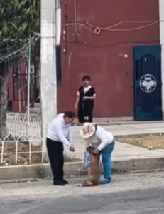 Señora arrastra a perrita inconsciente por la calle y la denuncian en Hidalgo