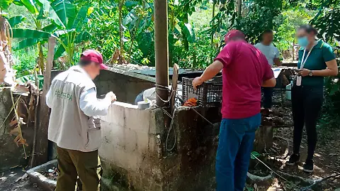 Profepa cierra zoológico clandestino en Tabasco por tener especies protegidas