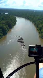 Graban a anaconda gigante deslizándose en el Río Amazonas