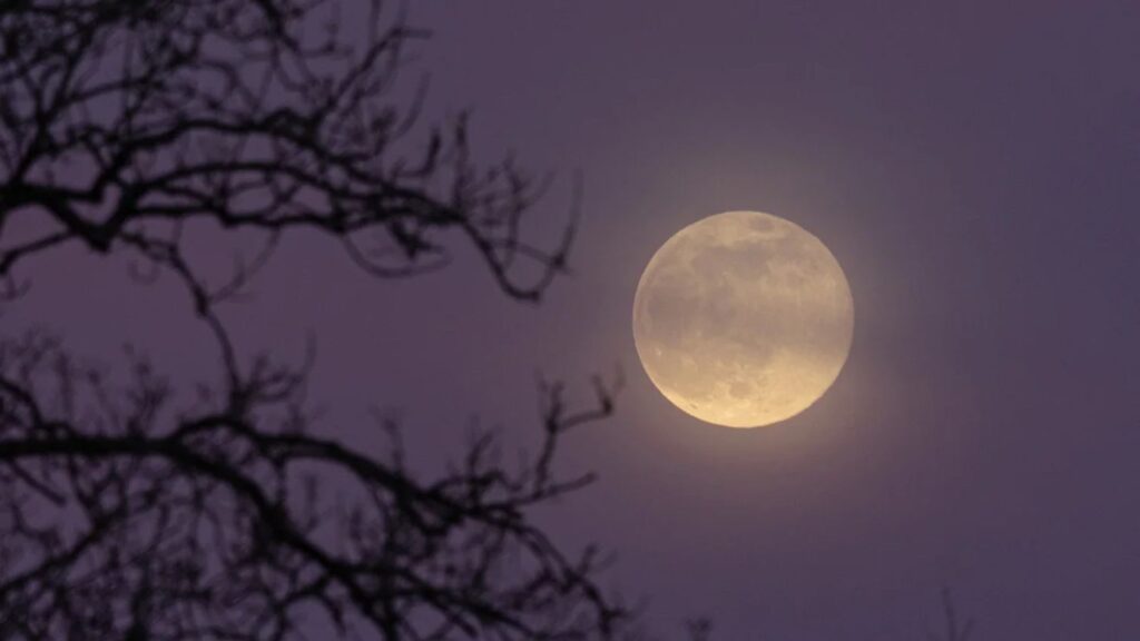 ¿Qué es la microluna y cuándo se podrá ver en mayo 2025?