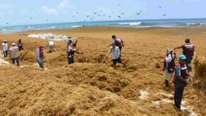 ¿Cuándo hay más sargazo en Cancún? Fechas clave y recomendaciones