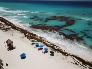¿Cuándo hay más sargazo en Cancún? Fechas clave y recomendaciones