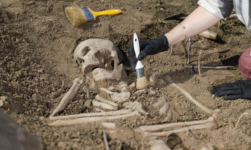 un arqueologo trabaja con un esqueleto humano