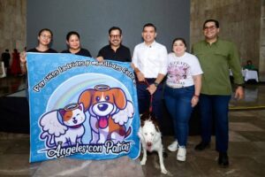 Avalan hasta 5 años de prisión por maltrato animal en Chiapas 