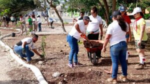Arboles en Cancun 0