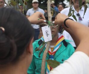 Arboles en Cancun 4