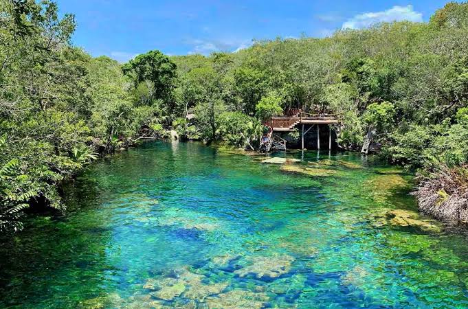 Cenotes en Playa del Carmen