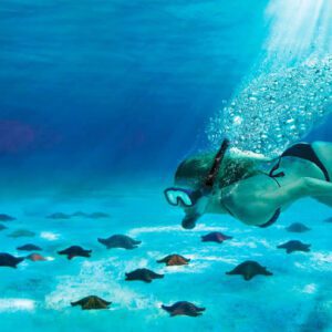 Cozumel World Travel Awards 1