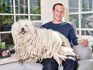 Muere Best, el perrito de Mark Zuckerberg 