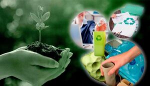 Día del Medio Ambiente: ¿Cómo tener una vida más sustentable?
