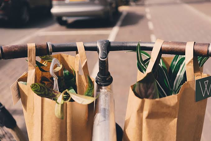 Día del Medio Ambiente: ¿Cómo tener una vida más sustentable?