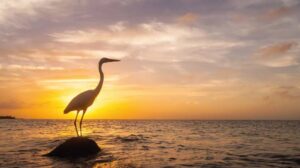 Planetario de Cancun Dia Mundial del Medio Ambiente 0