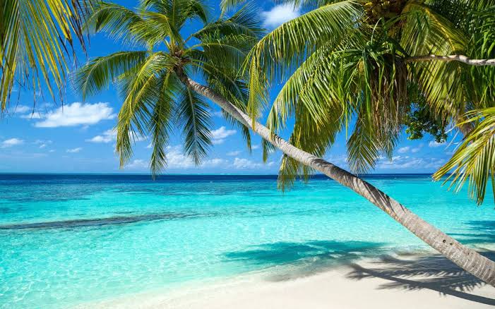 Playas de Quintana Roo